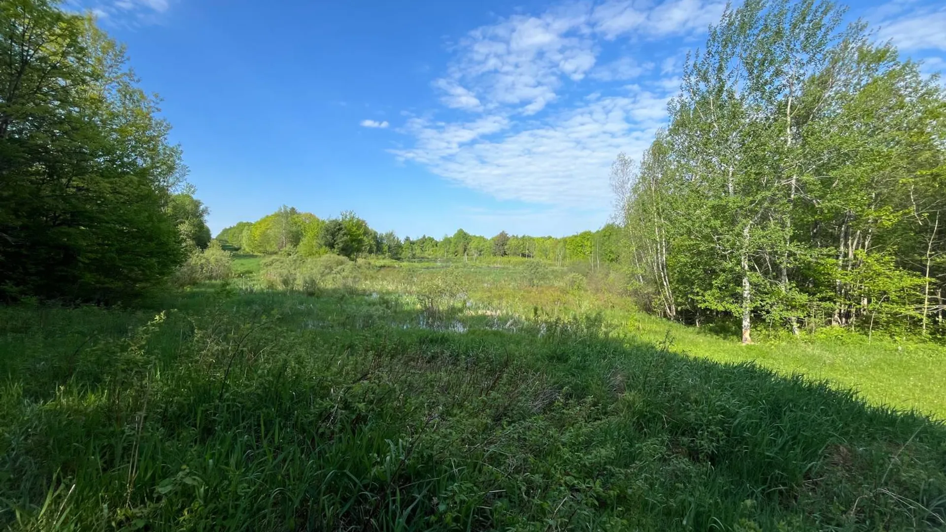 Property at 623 Trout Lake Road, Hermon, NY 13652 33