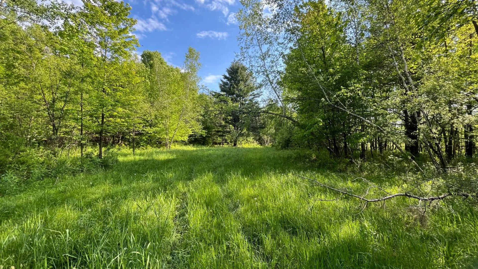 Property at 623 Trout Lake Road, Hermon, NY 13652 34