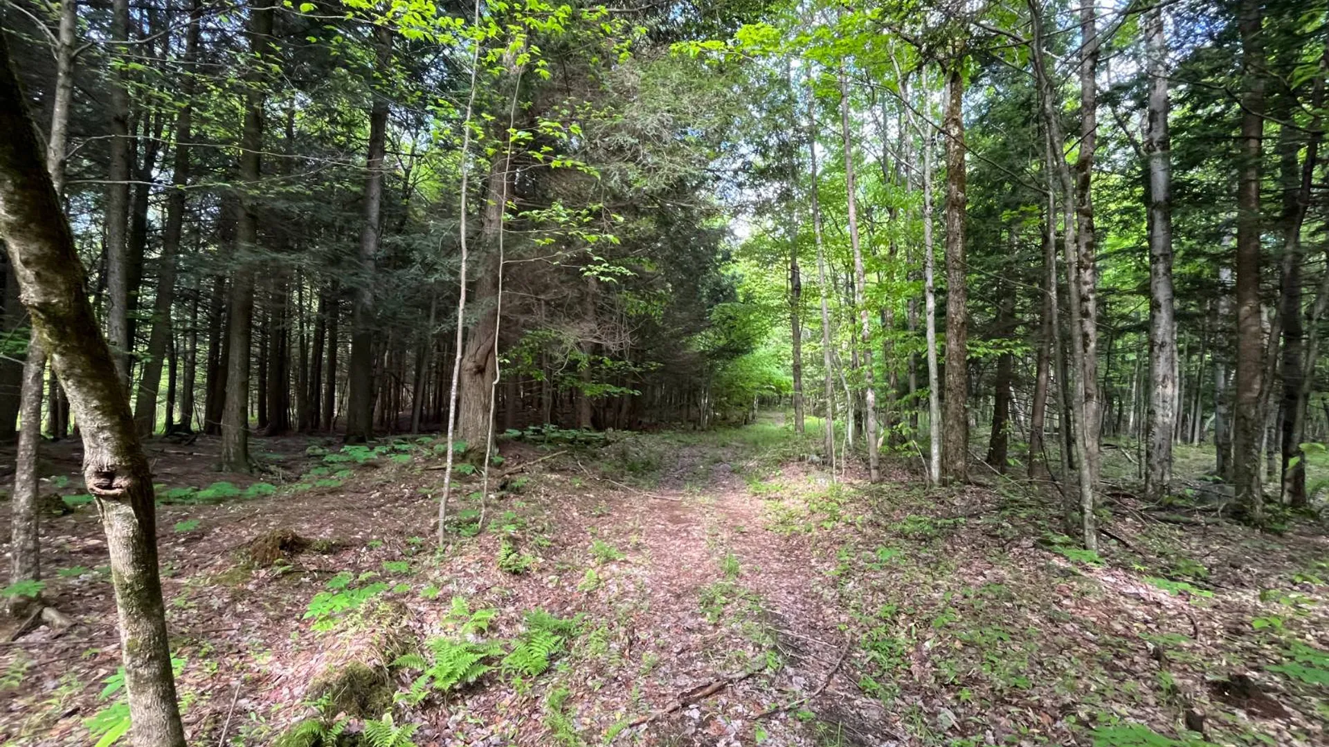 Property at 623 Trout Lake Road, Hermon, NY 13652 36
