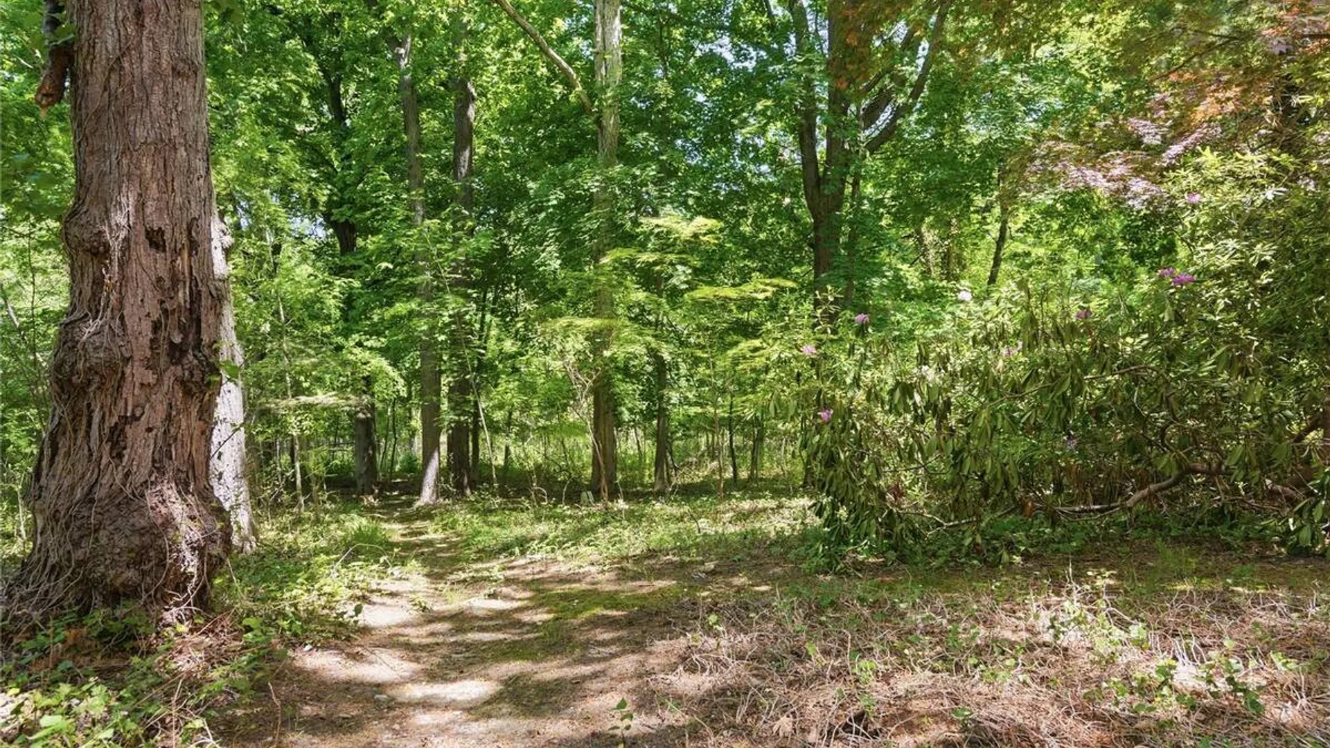 Property at 23 Abbey Lane, Setauket, NY 11733 31