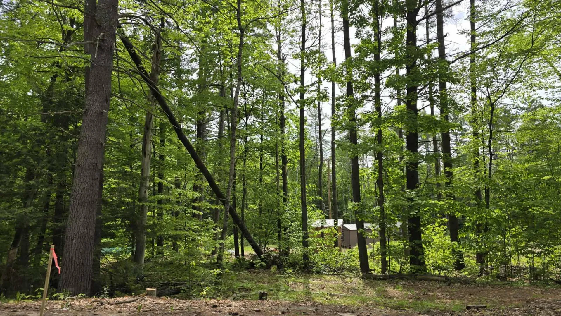 Property at 888 Landon Hill Rd, Chestertown, NY 12817 3