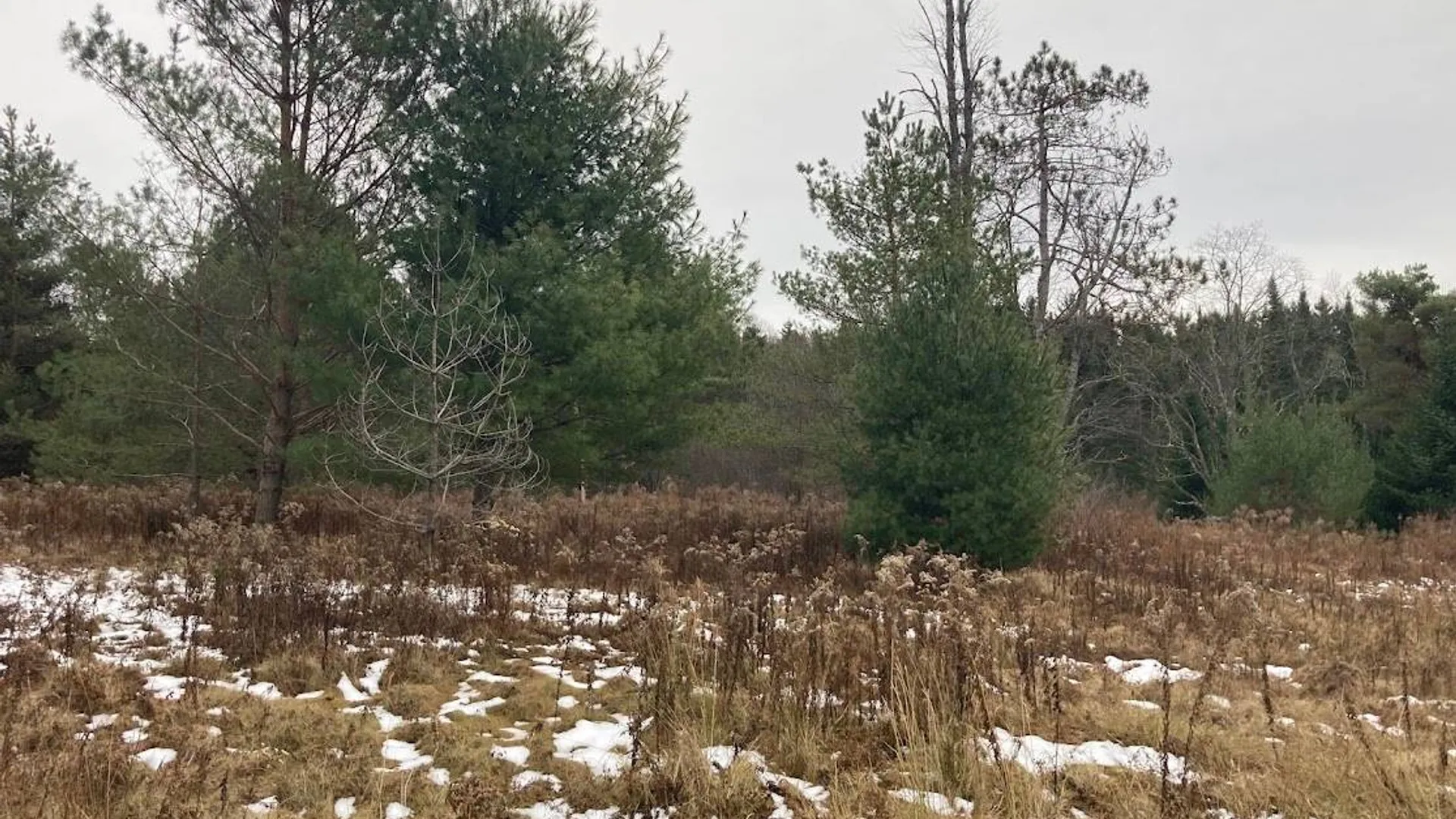 Property at 0 St Rt 8, Cold Brook, NY 13324 2