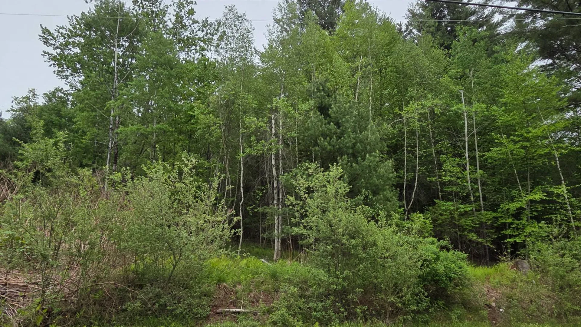 Property at 125 & 131 Zimmerman Rd, Loch Sheldrake, NY 12759 32
