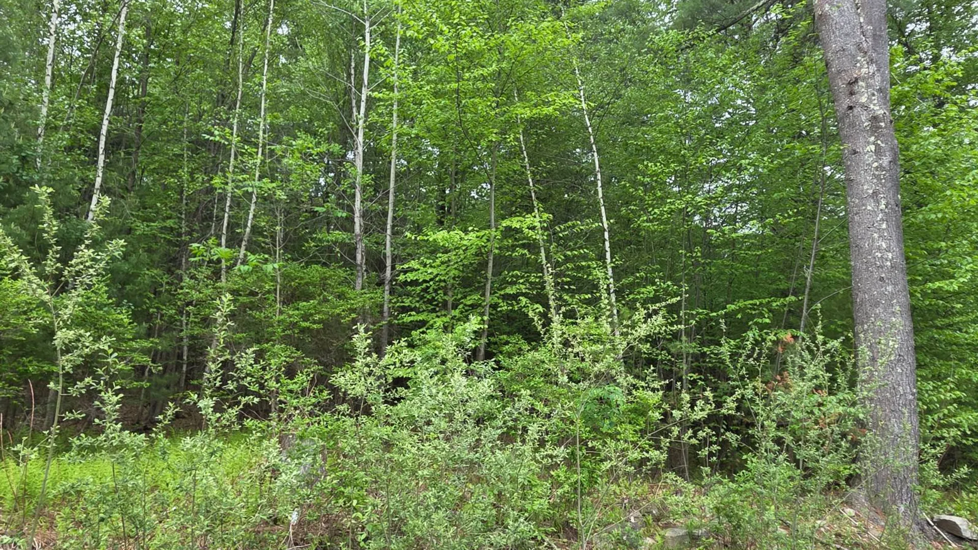 Property at 125 & 131 Zimmerman Rd, Loch Sheldrake, NY 12759 38