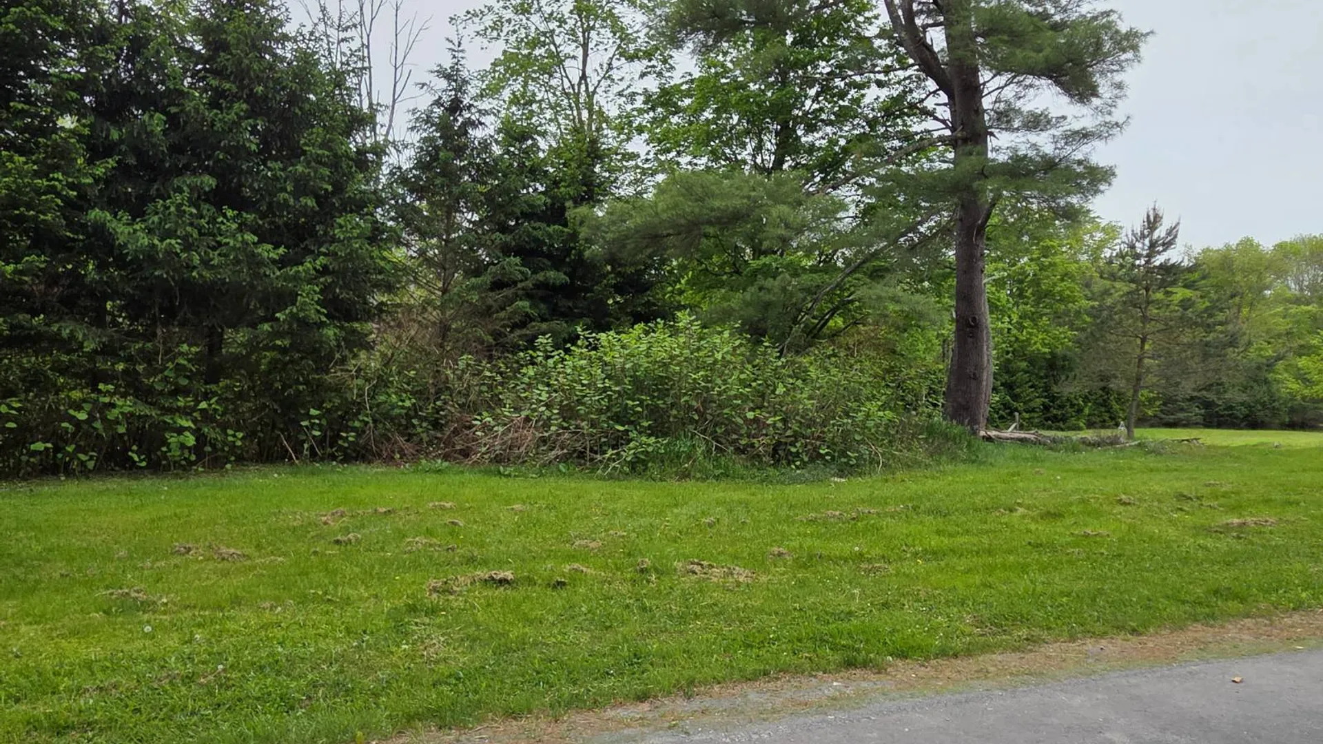 Property at 125 & 131 Zimmerman Rd, Loch Sheldrake, NY 12759 39