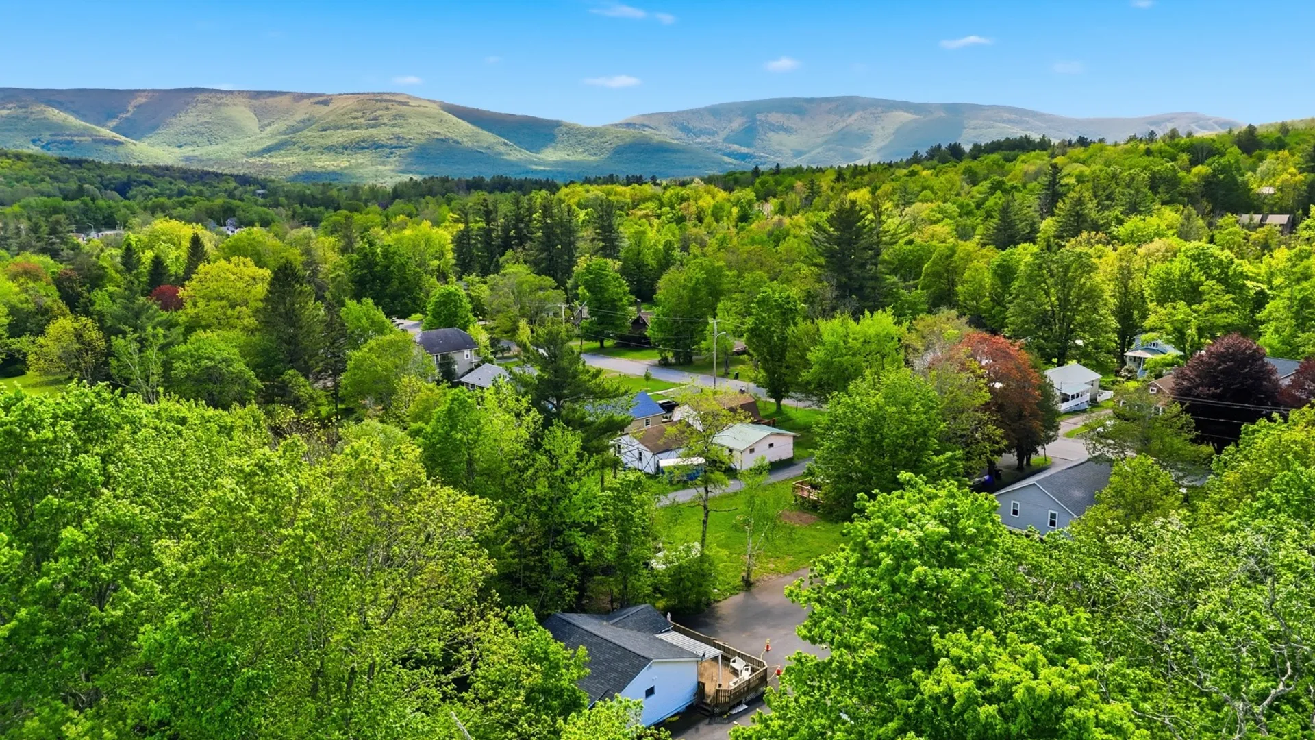 Property at 134 Park Lane, Tannersville, NY 12485 2