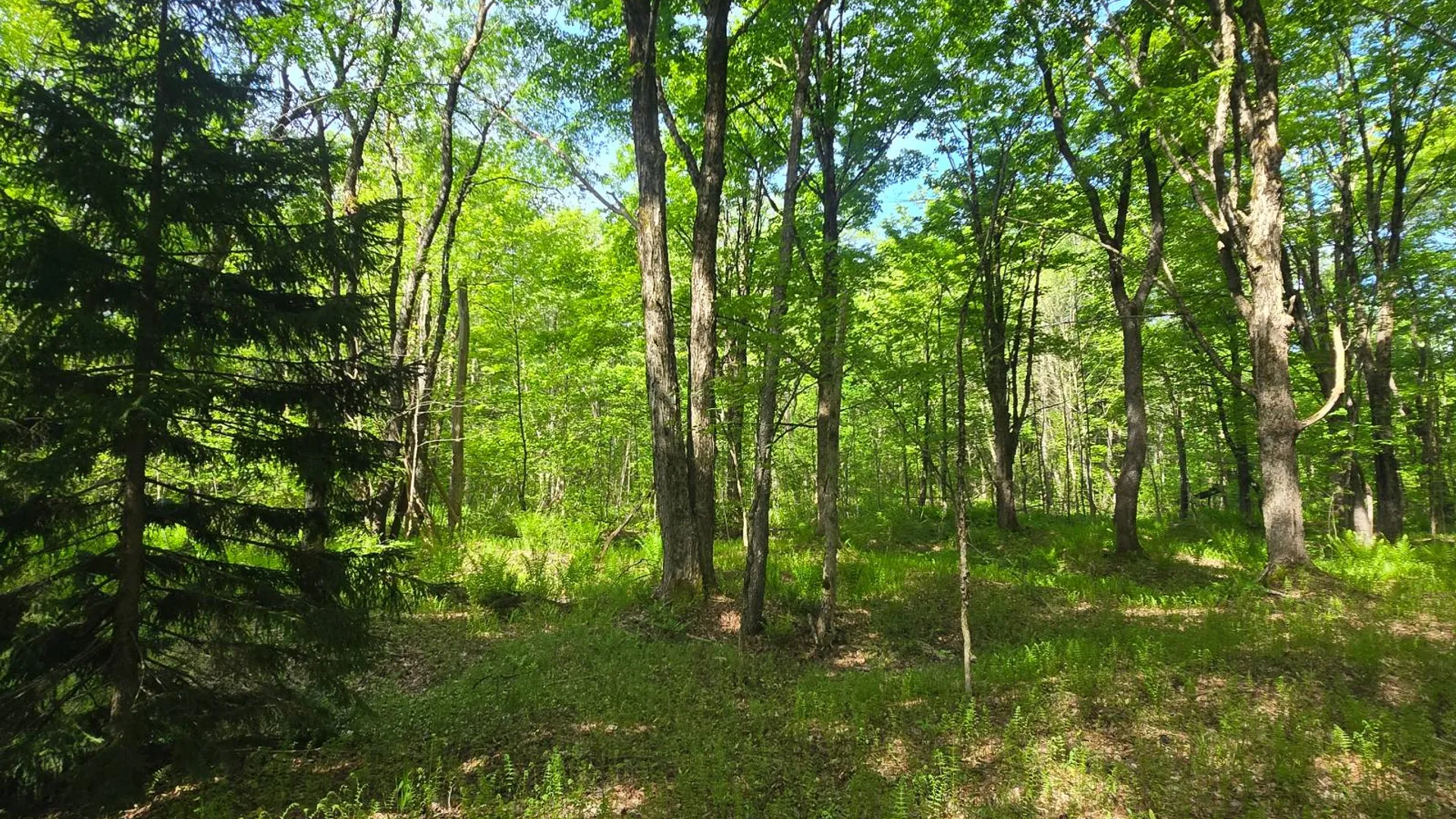 Property at 00 County Route 95, Lorraine, NY 13659 13