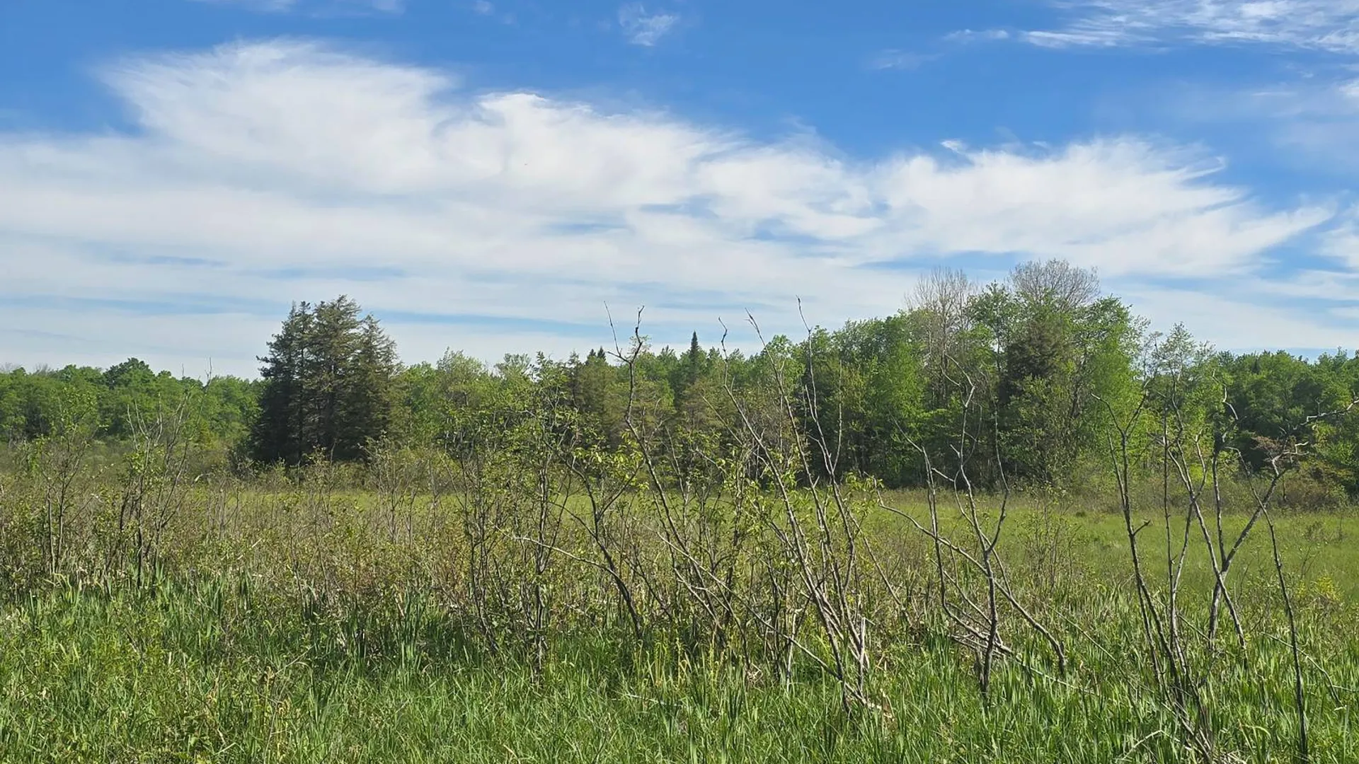 Property at 00 County Route 95, Lorraine, NY 13659 17