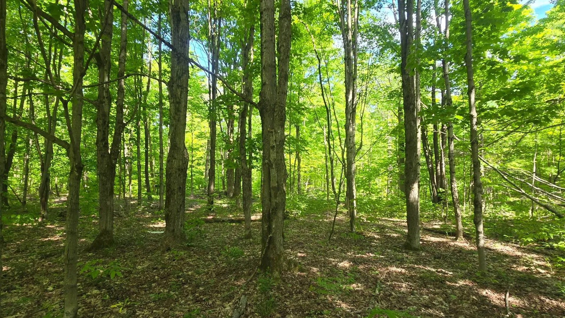 Property at 00 County Route 95, Lorraine, NY 13659 18