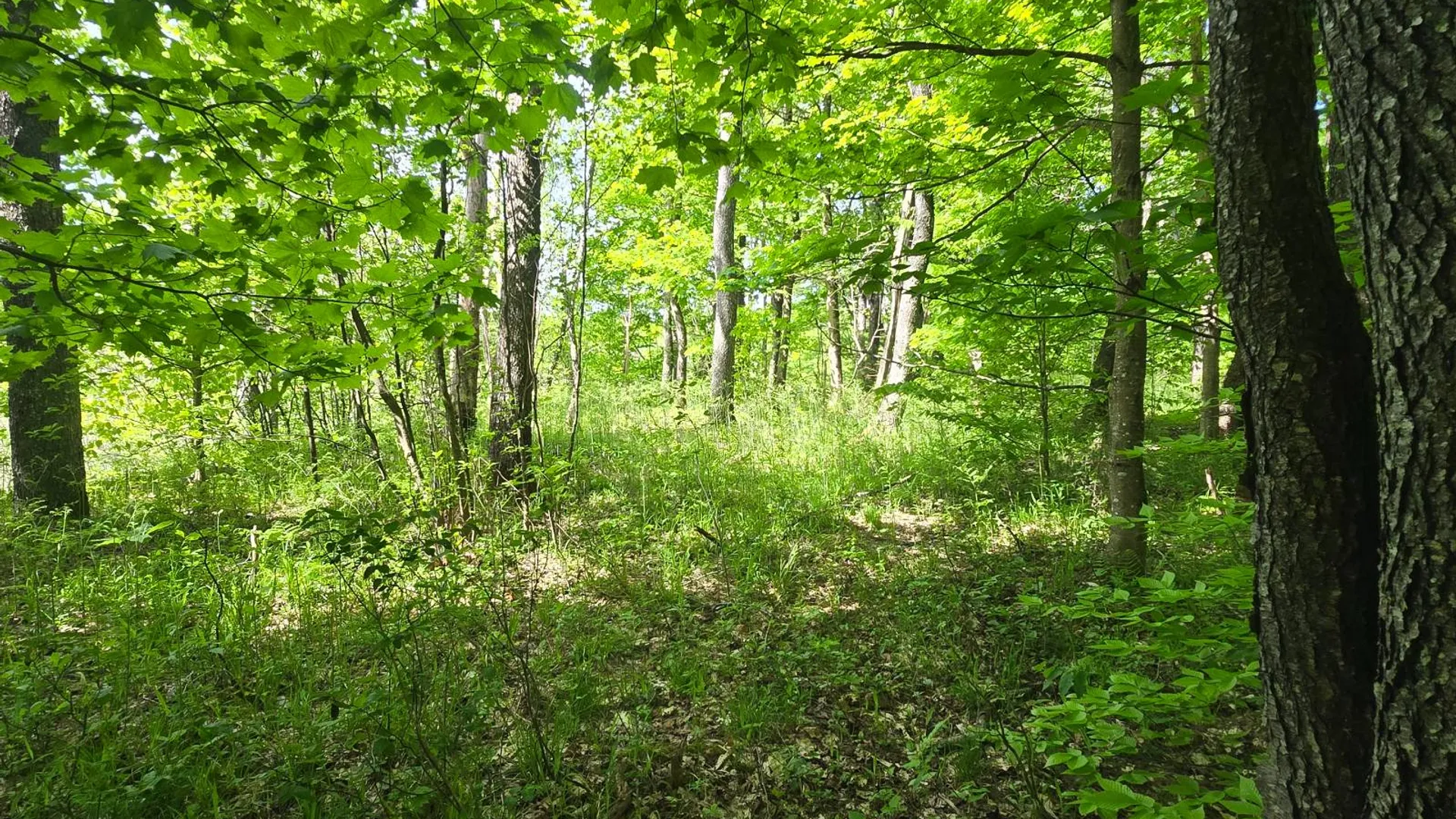 Property at 00 County Route 95, Lorraine, NY 13659 19