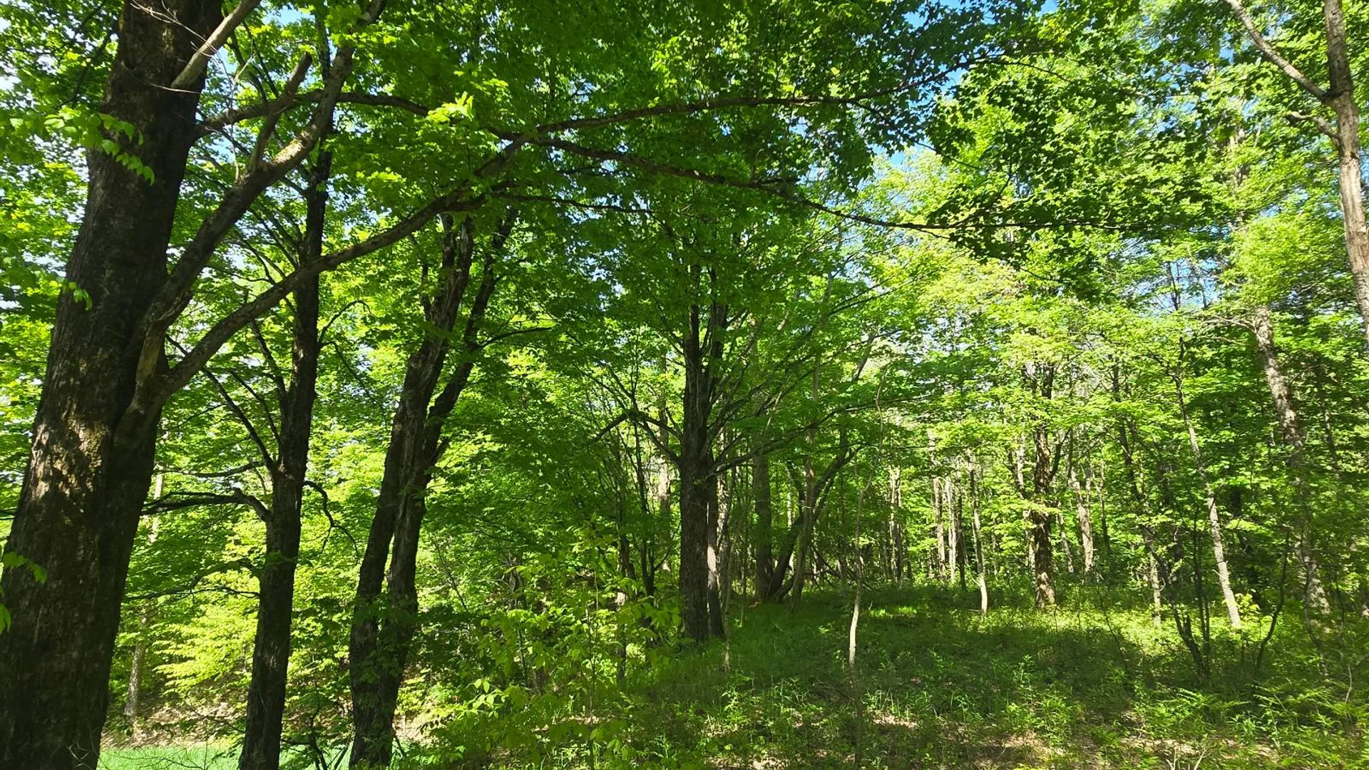Property at 00 County Route 95, Lorraine, NY 13659 20