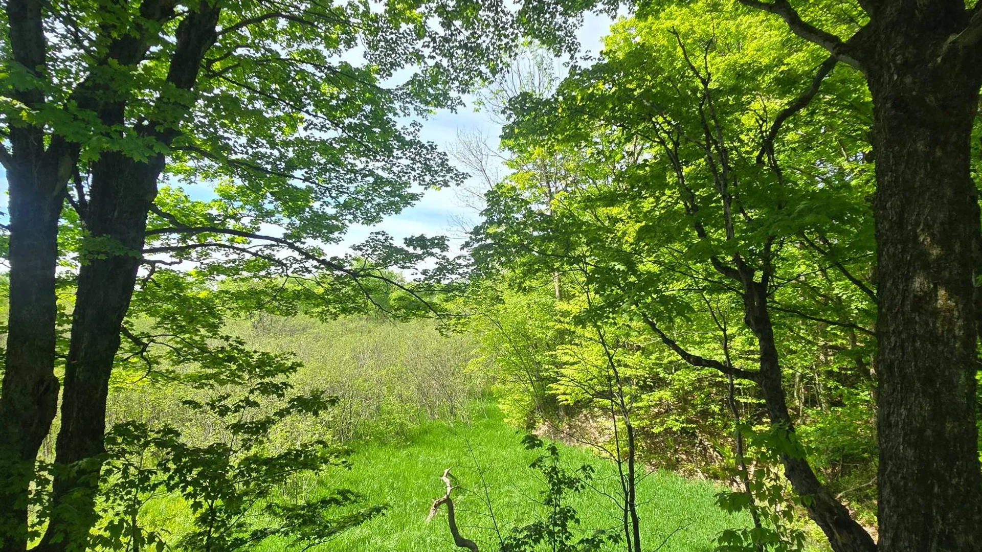 Property at 00 County Route 95, Lorraine, NY 13659 21