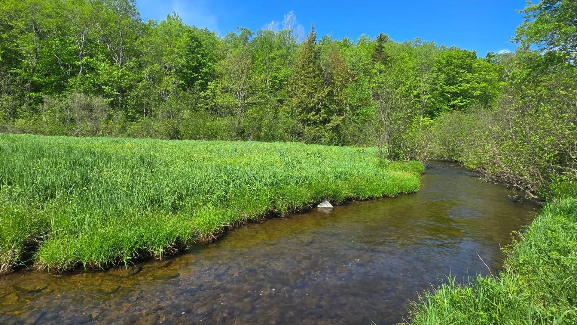 Property at 00 County Route 95, Lorraine, NY 13659 23