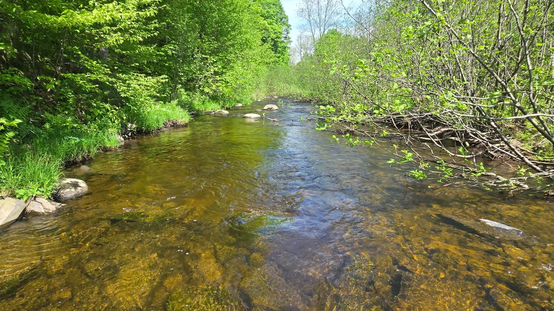 Property at 00 County Route 95, Lorraine, NY 13659 30
