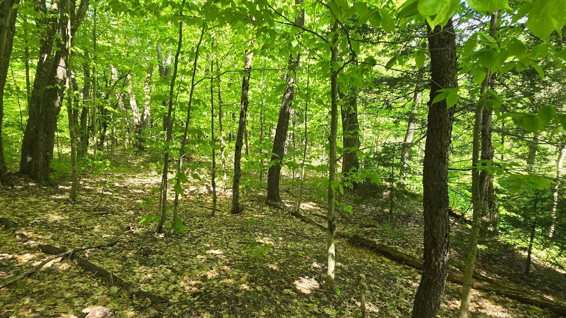 Property at 00 County Route 95, Lorraine, NY 13659 31