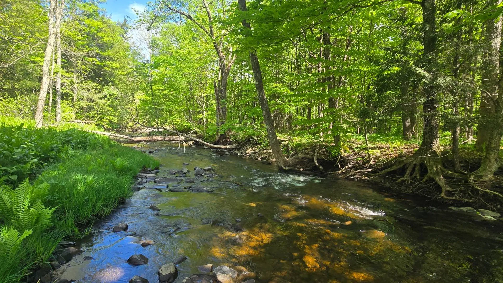 Property at 00 County Route 95, Lorraine, NY 13659 34