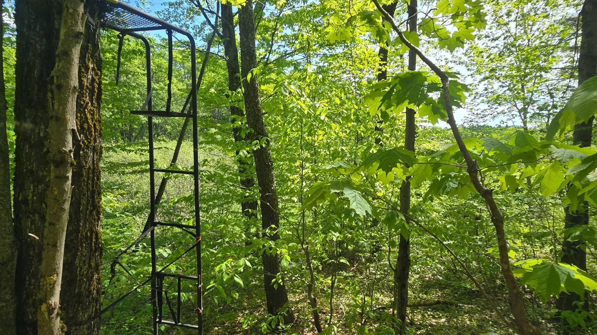 Property at 00 County Route 95, Lorraine, NY 13659 35
