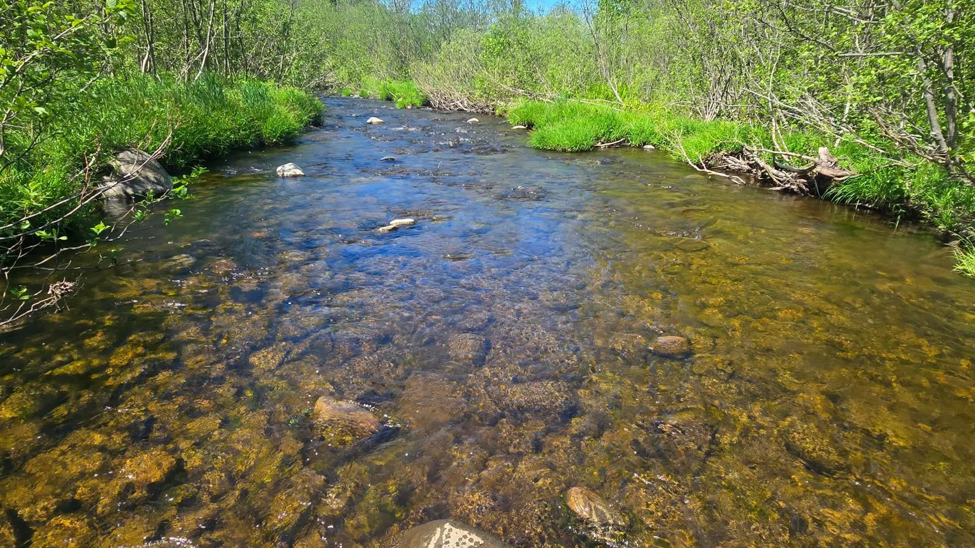 Property at 00 County Route 95, Lorraine, NY 13659 37