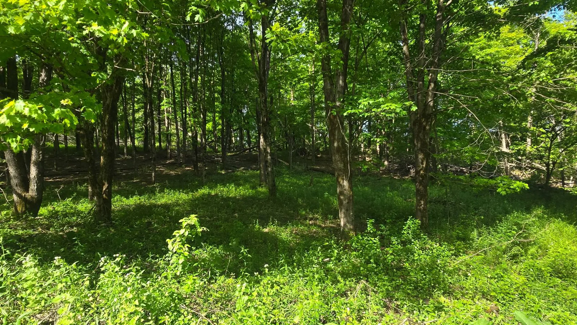 Property at 00 County Route 95, Lorraine, NY 13659 6