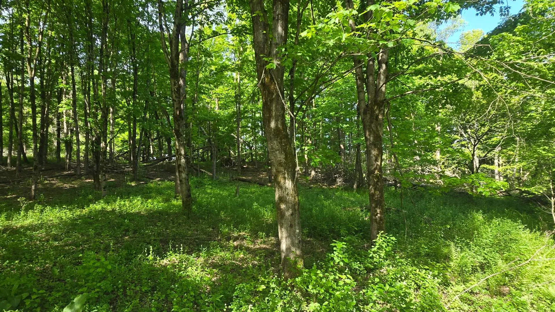 Property at 00 County Route 95, Lorraine, NY 13659 7