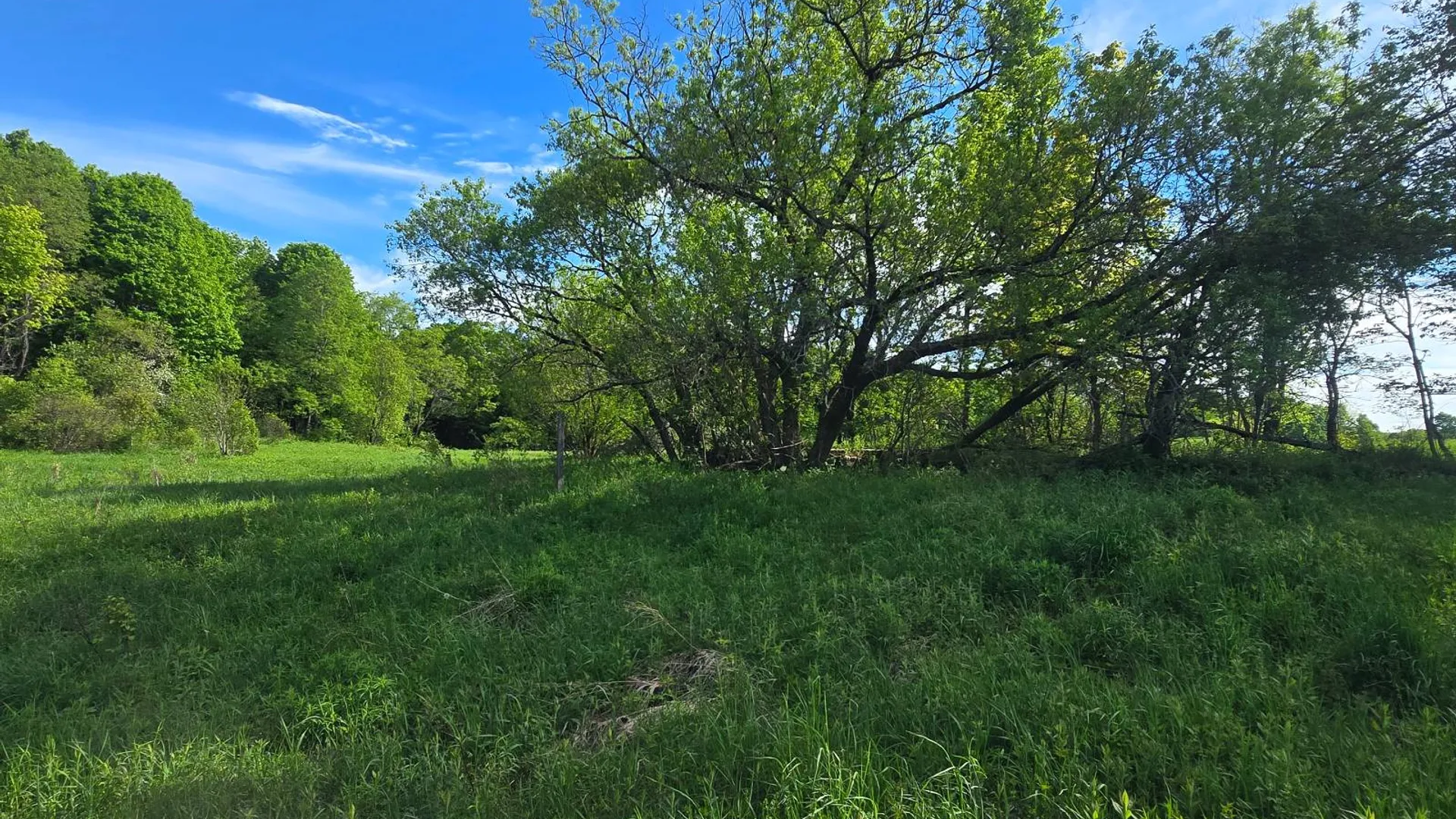 Property at 00 County Route 95, Lorraine, NY 13659 8