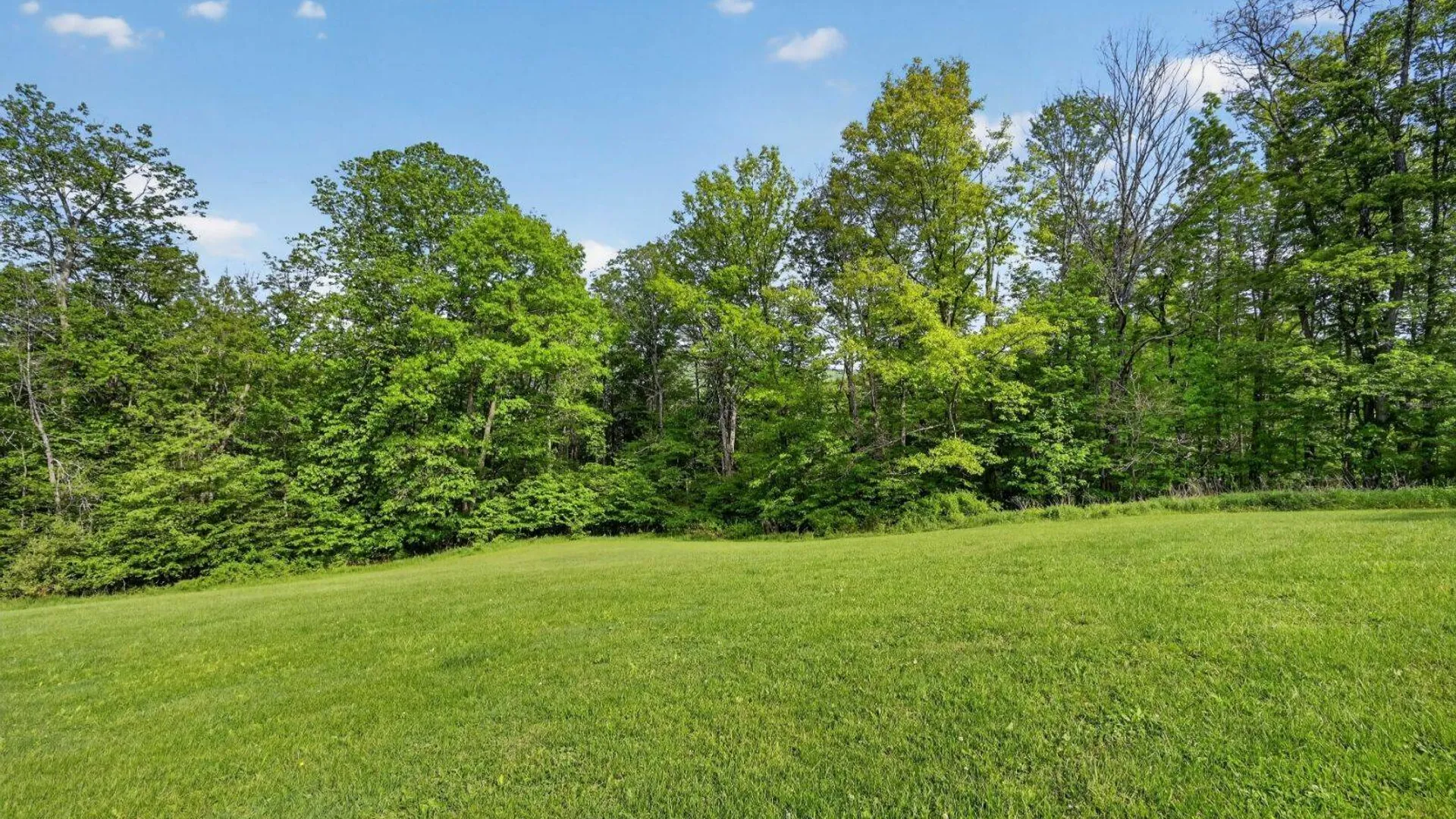 Property at 1514 State Route 30, Blenheim, NY 12131 58