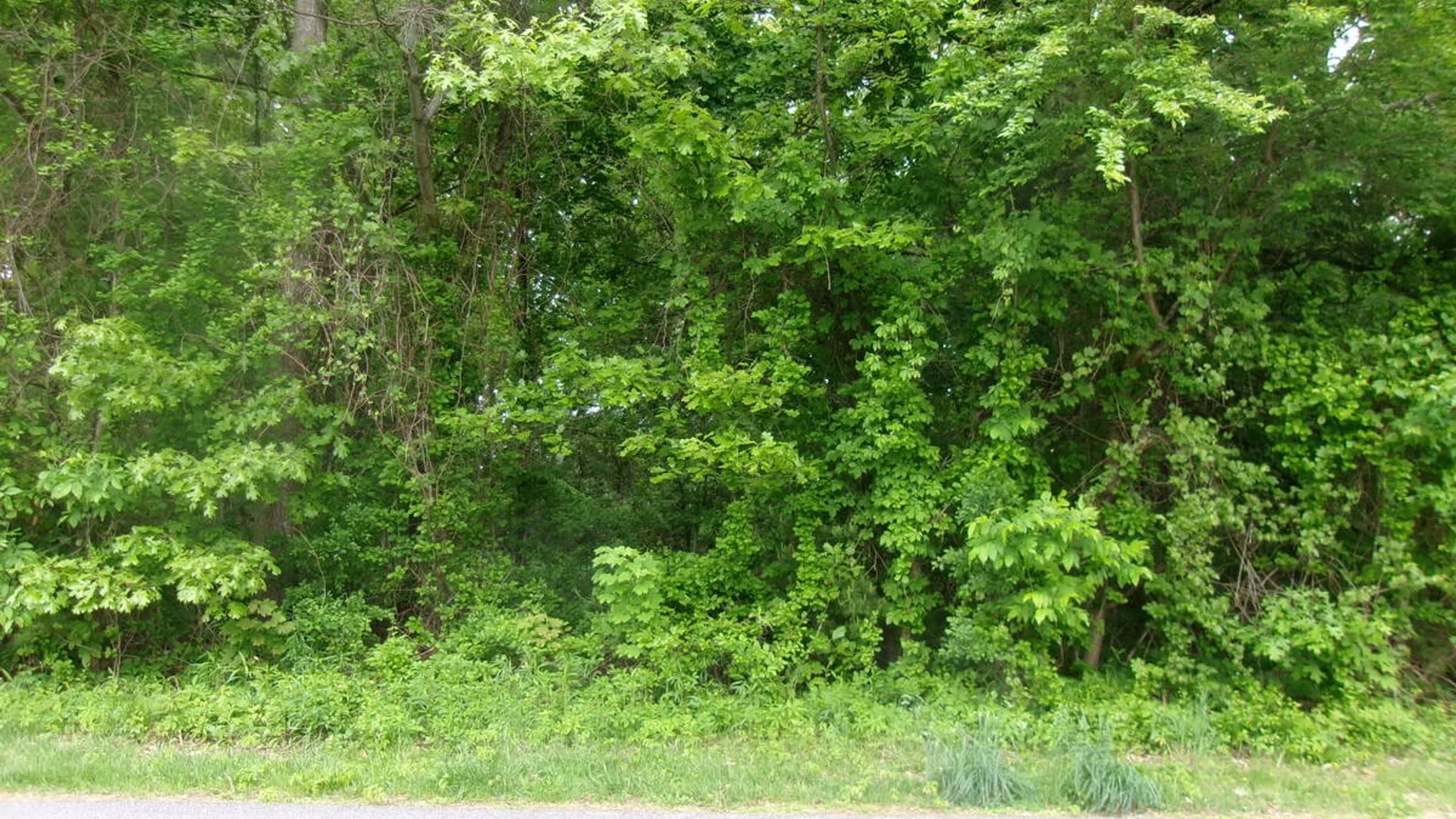 Property at 13 Pinecrest Drive, Niskayuna, NY 12309 2