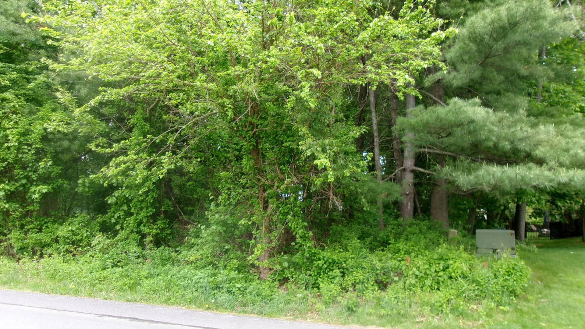 Property at 13 Pinecrest Drive, Niskayuna, NY 12309 3