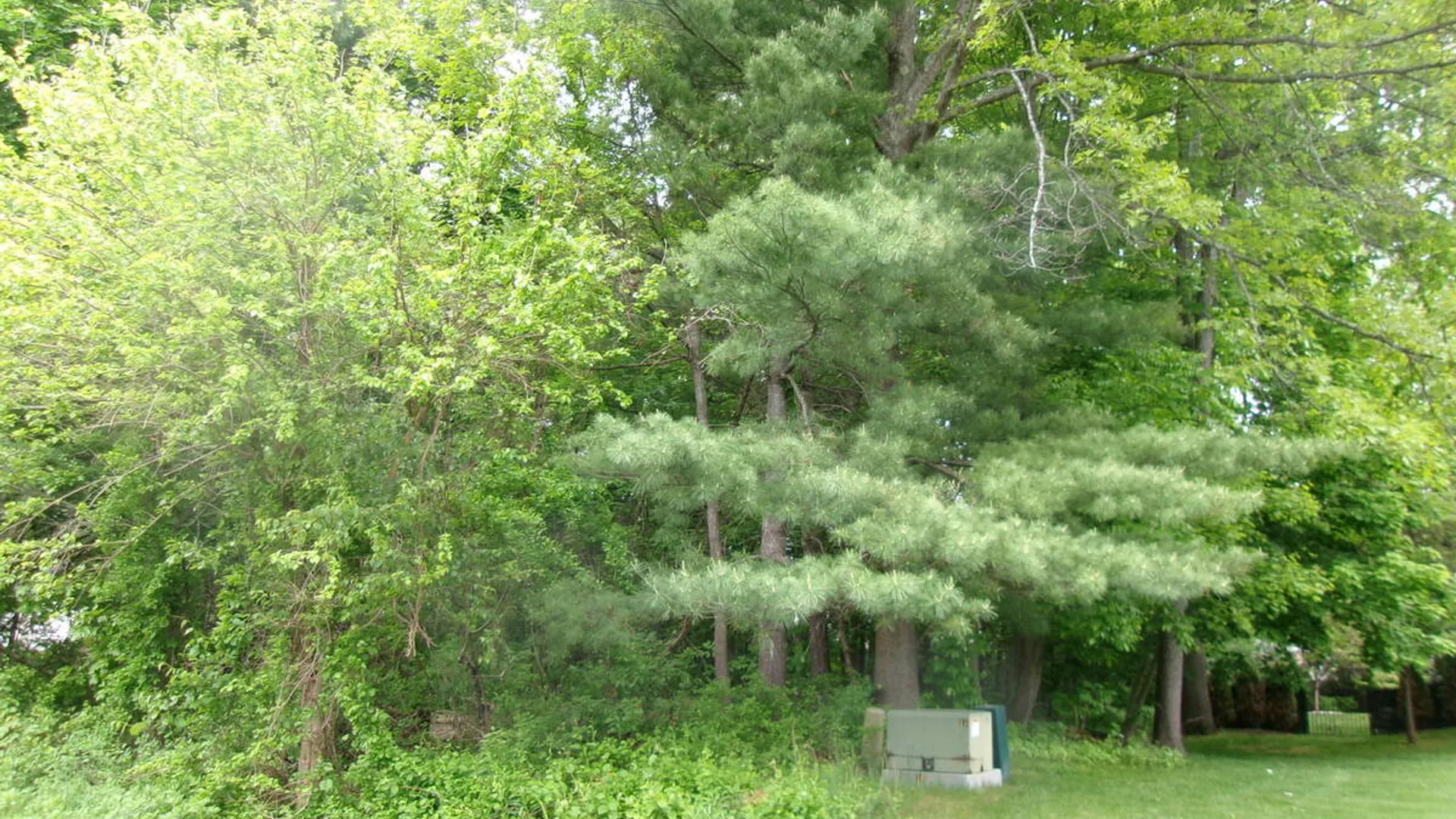 Property at 13 Pinecrest Drive, Niskayuna, NY 12309 4