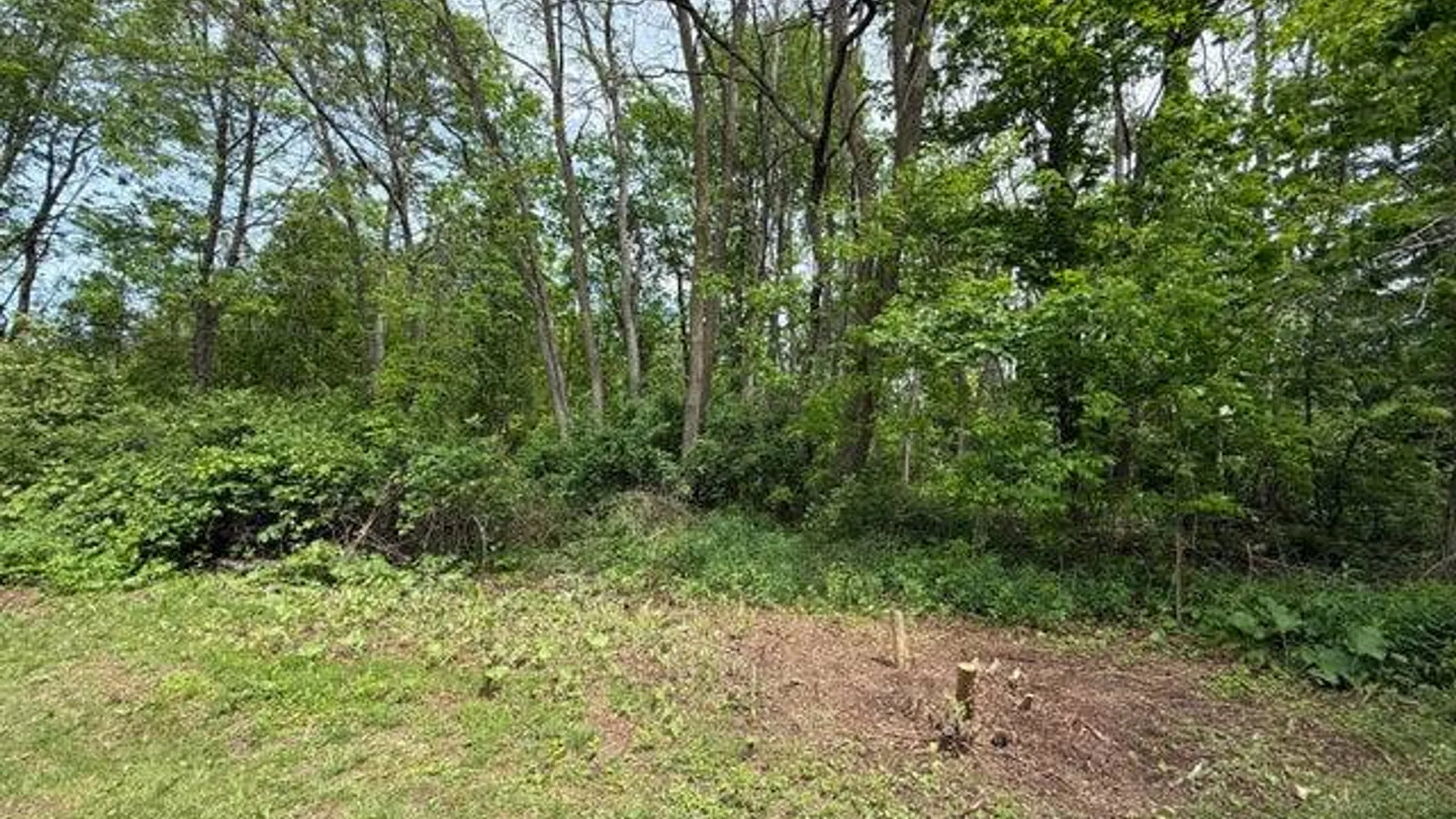 Property at 1388 Midline Rd, Amsterdam, NY 12010 8