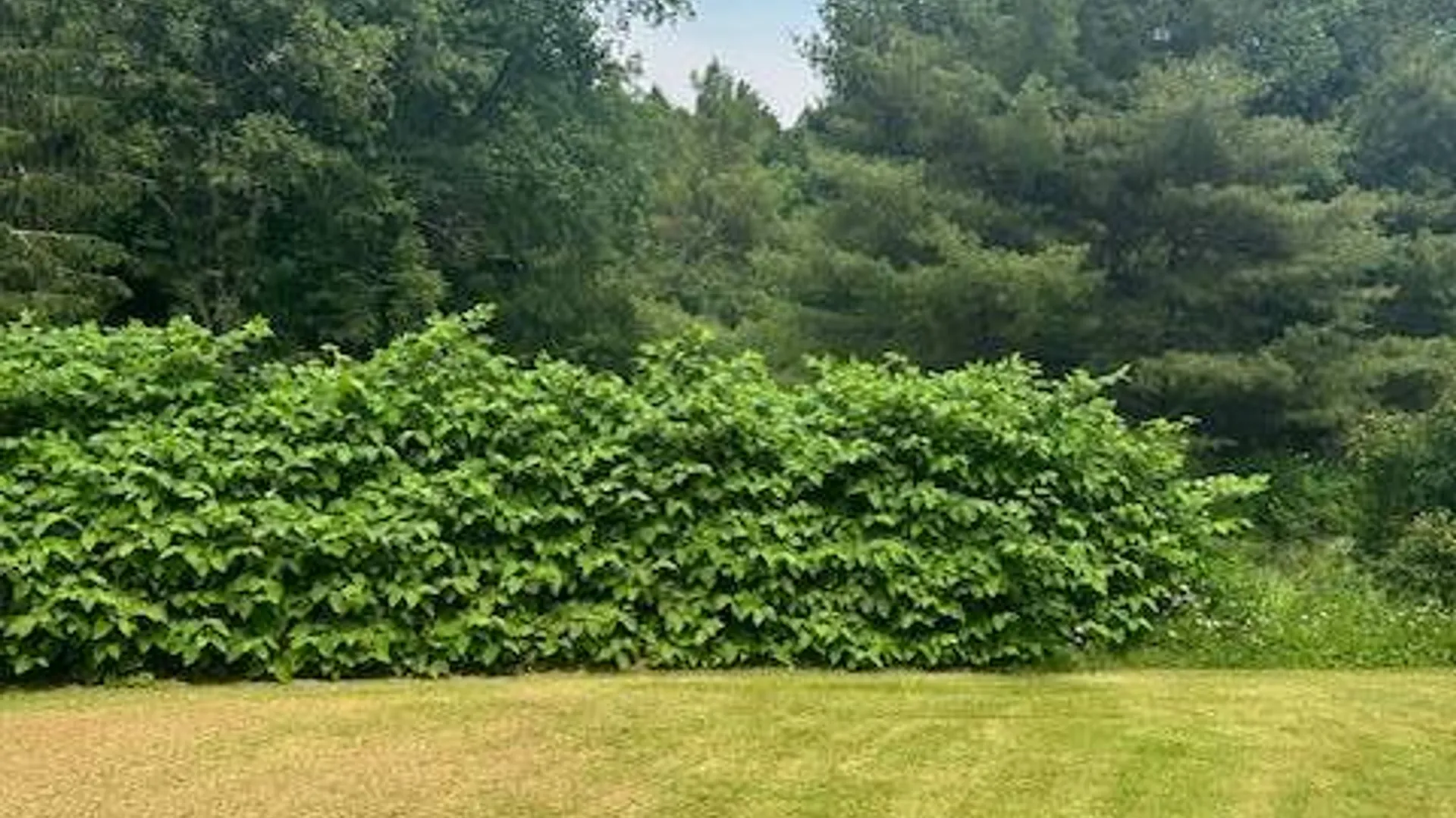 Property at 1266 Rt. 23C, East Jewett, NY 12424 25