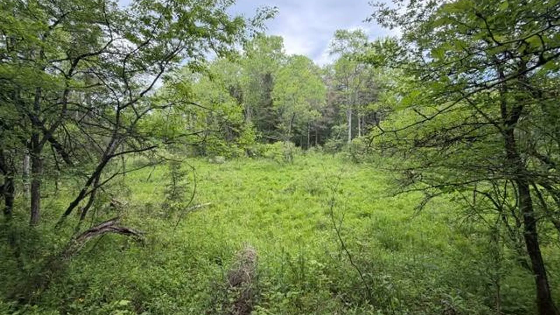Property at 431 Santmire Road, Ohio, NY 13324 15