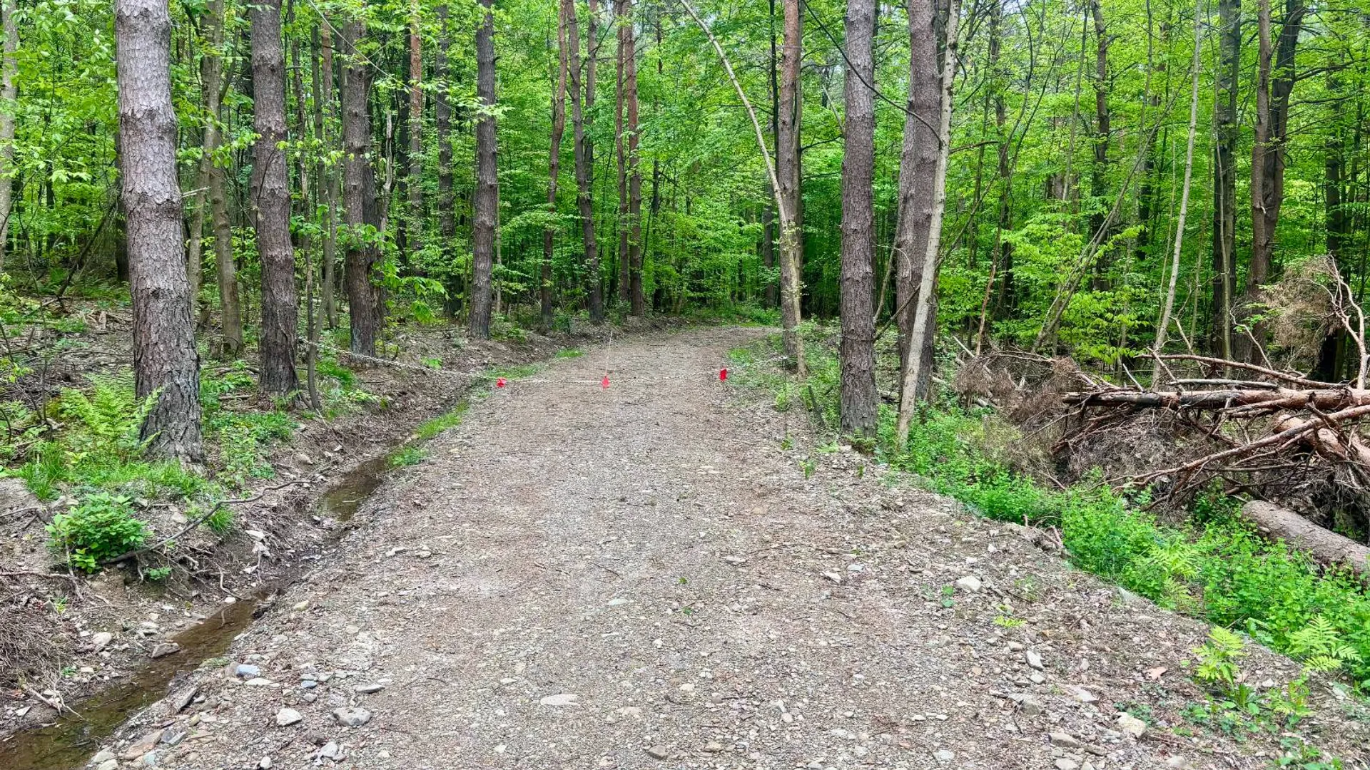 Property at L14 East Hill Rd, Franklinville, NY 14737 18