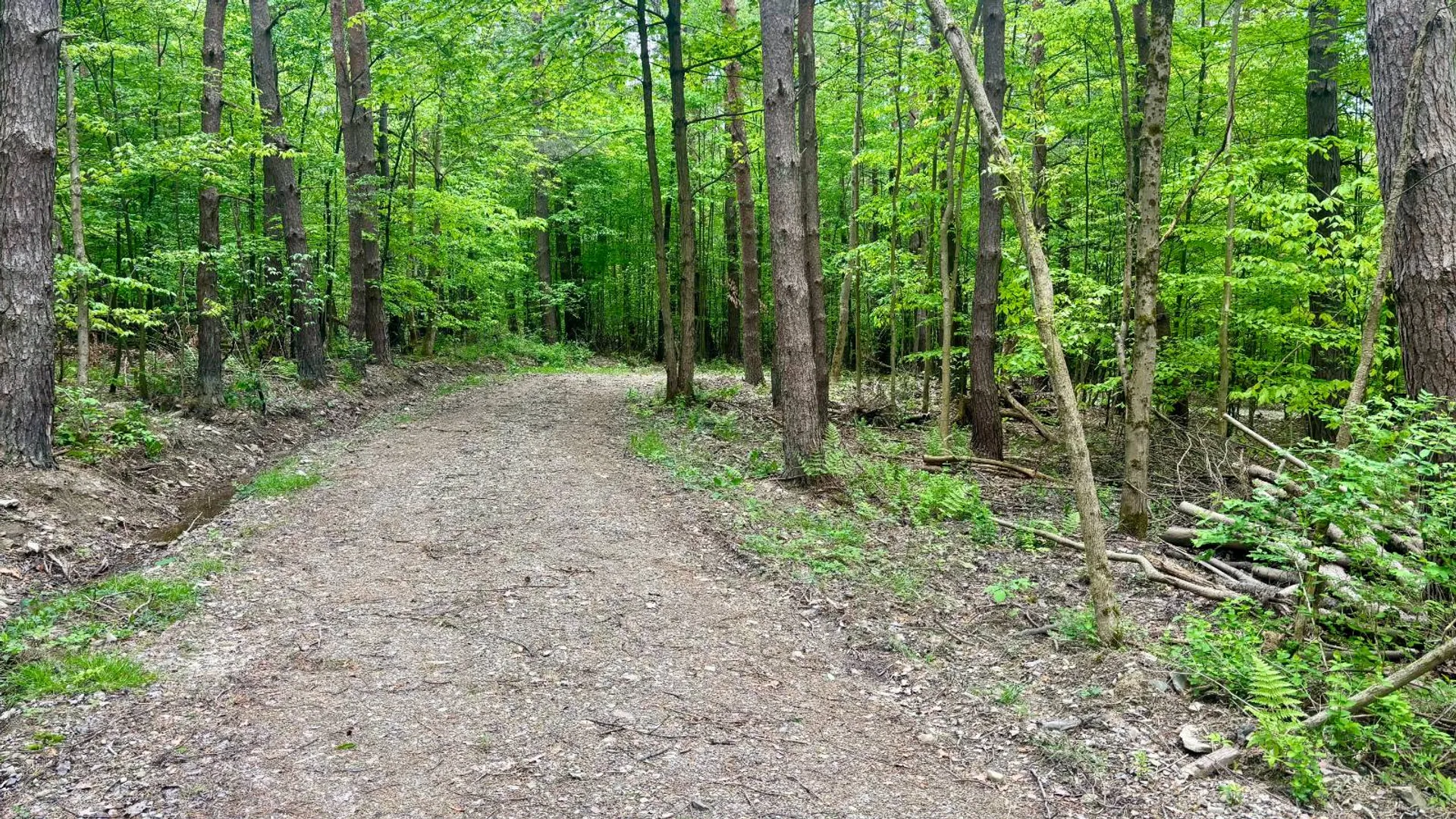 Property at L14 East Hill Rd, Franklinville, NY 14737 19