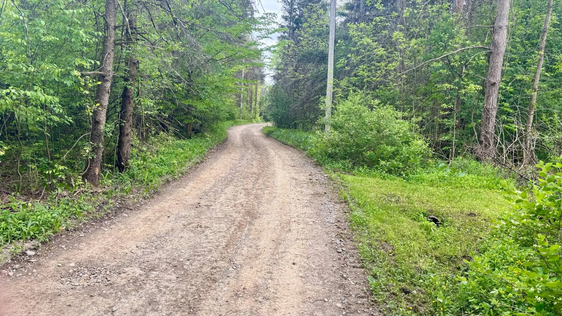 Property at L14 East Hill Rd, Franklinville, NY 14737 20