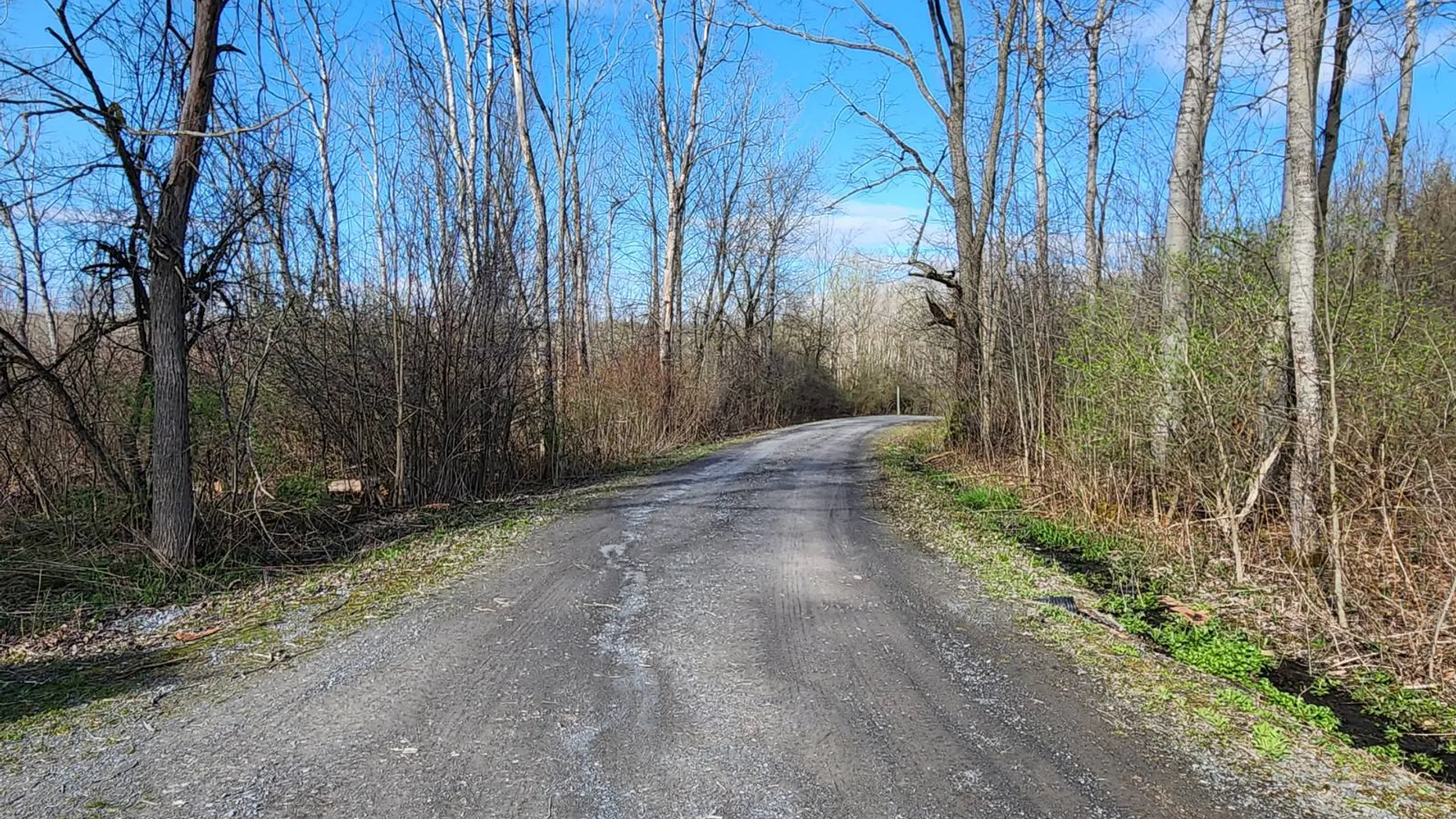 Property at 1382 Carlisle Rd, Sprakers, NY 12166 39