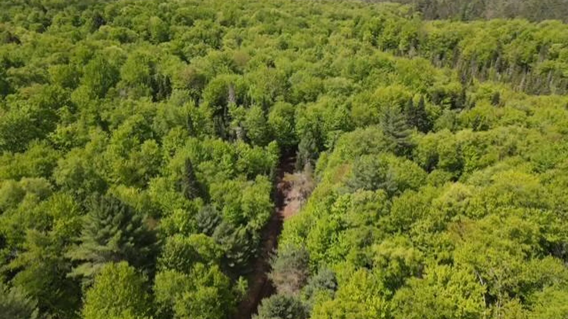 Property at 0 Abbey Rd, Greig, NY 13312 10
