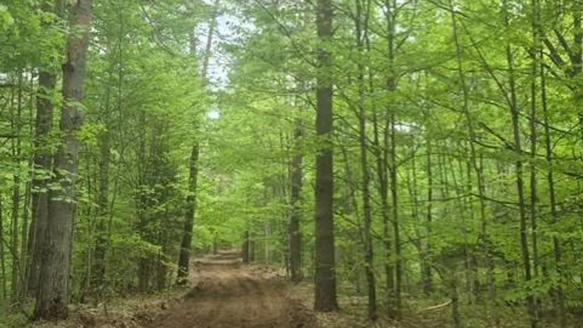Property at 0 Abbey Rd, Greig, NY 13312 24