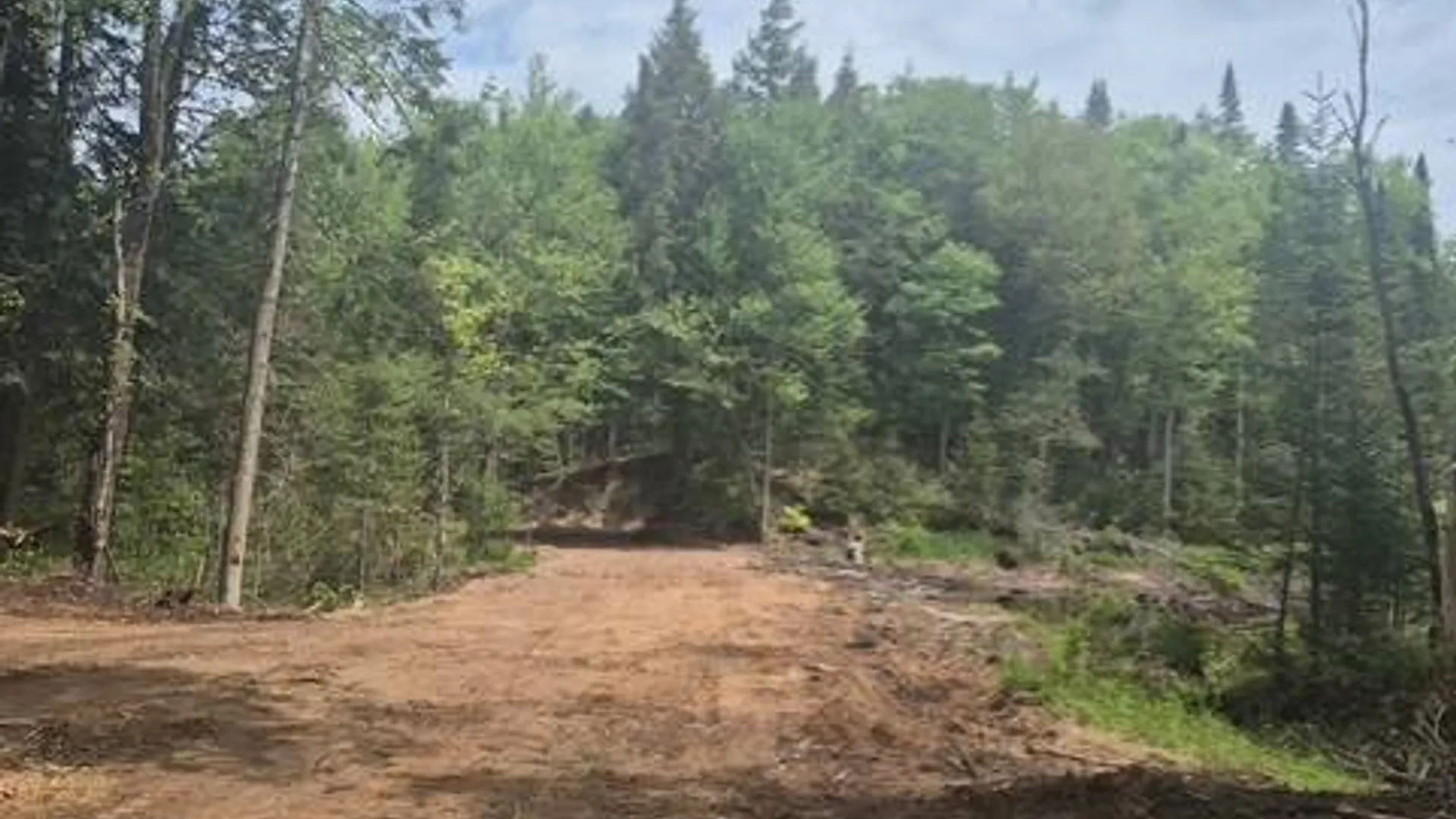 Property at 0 Abbey Rd, Greig, NY 13312 25