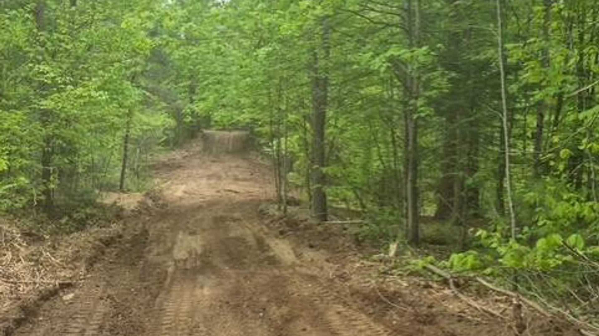Property at 0 Abbey Rd, Greig, NY 13312 26