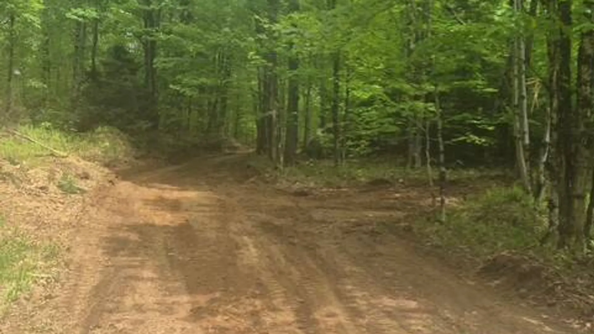 Property at 0 Abbey Rd, Greig, NY 13312 28
