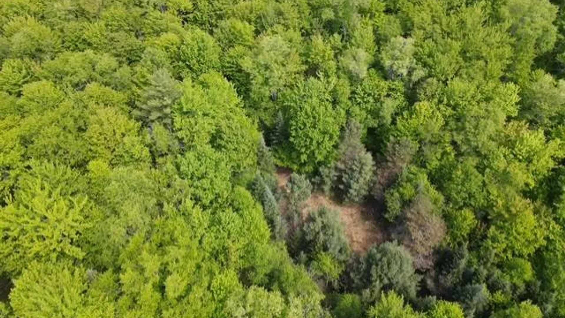 Property at 0 Abbey Rd, Greig, NY 13312 9