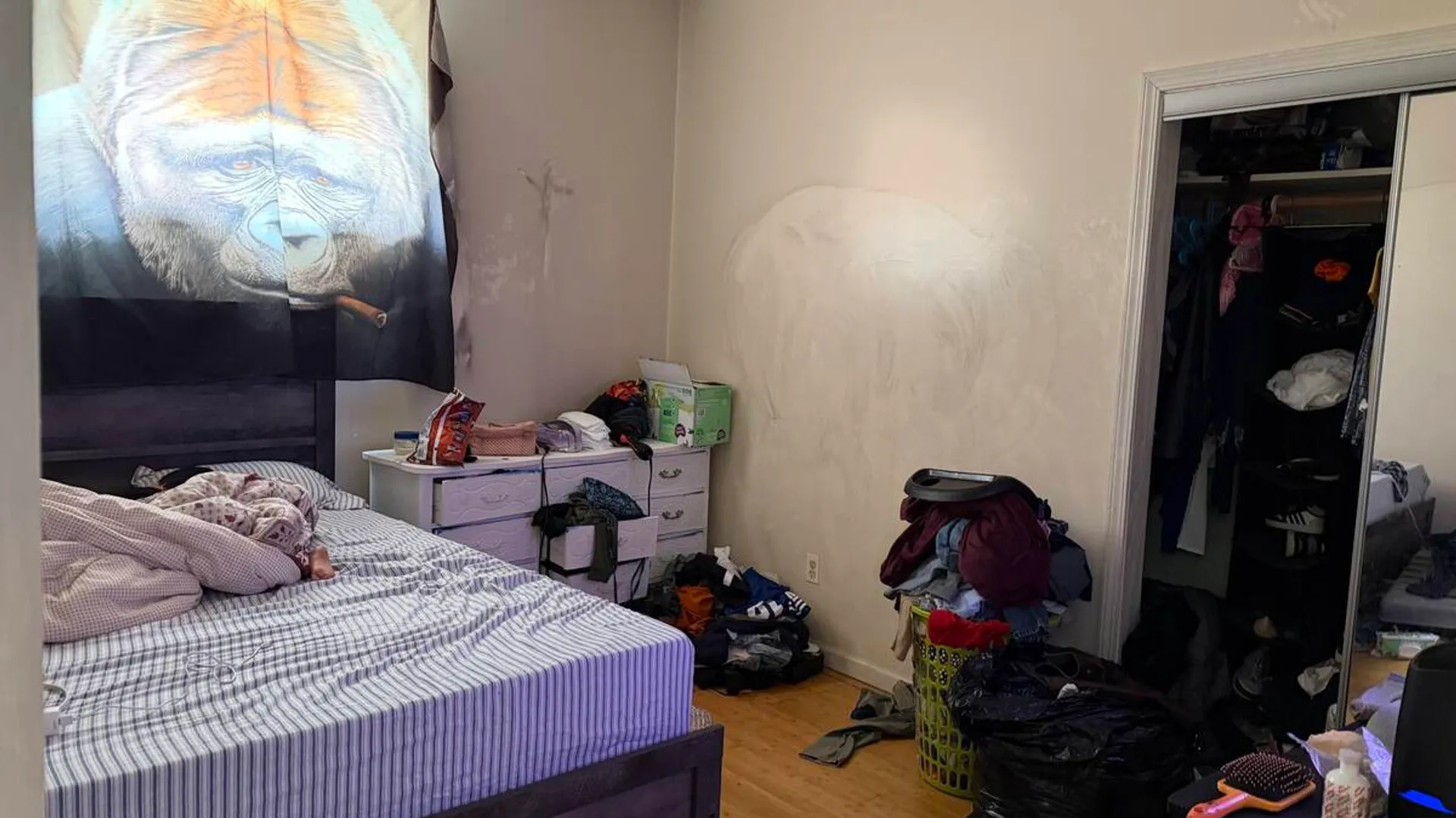 Property at 150 2nd Avenue, Albany, NY 12202 12