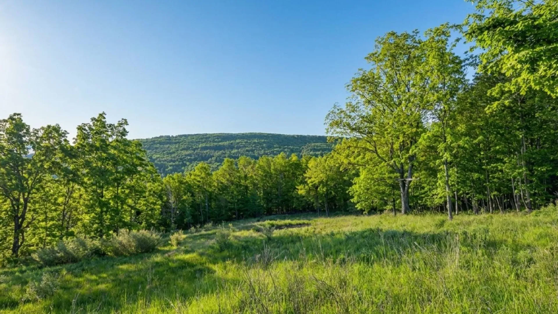 Property at L10.10 Cheese Hill Rd, Rensselaerville, NY 12469 41