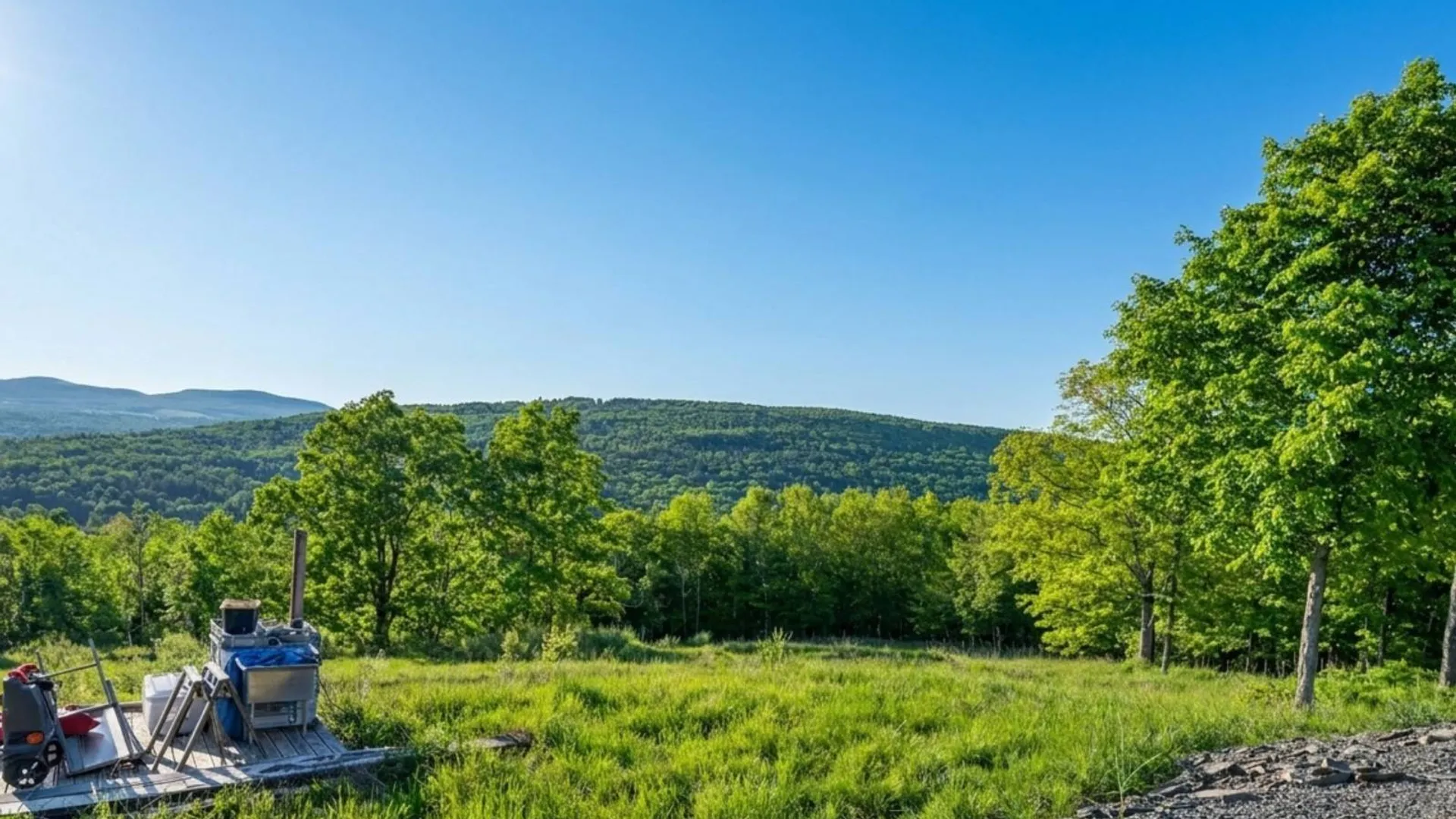 Property at L10.10 Cheese Hill Rd, Rensselaerville, NY 12469 43