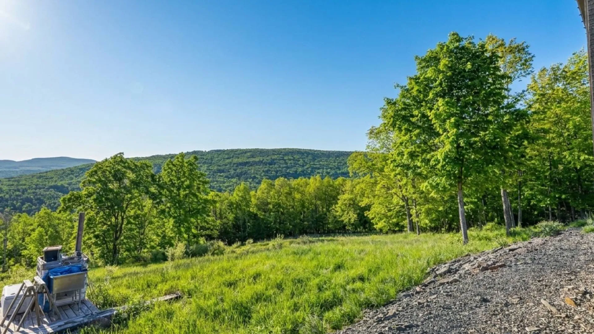 Property at L10.10 Cheese Hill Rd, Rensselaerville, NY 12469 44