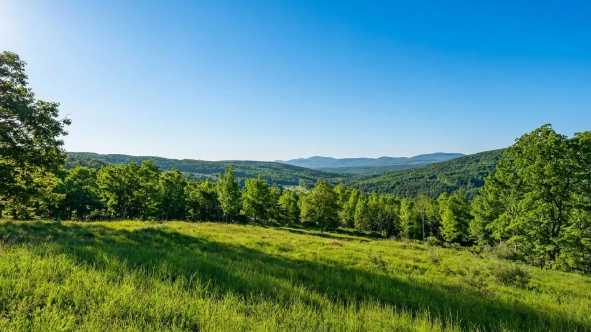 Property at L10.10 Cheese Hill Rd, Rensselaerville, NY 12469 46