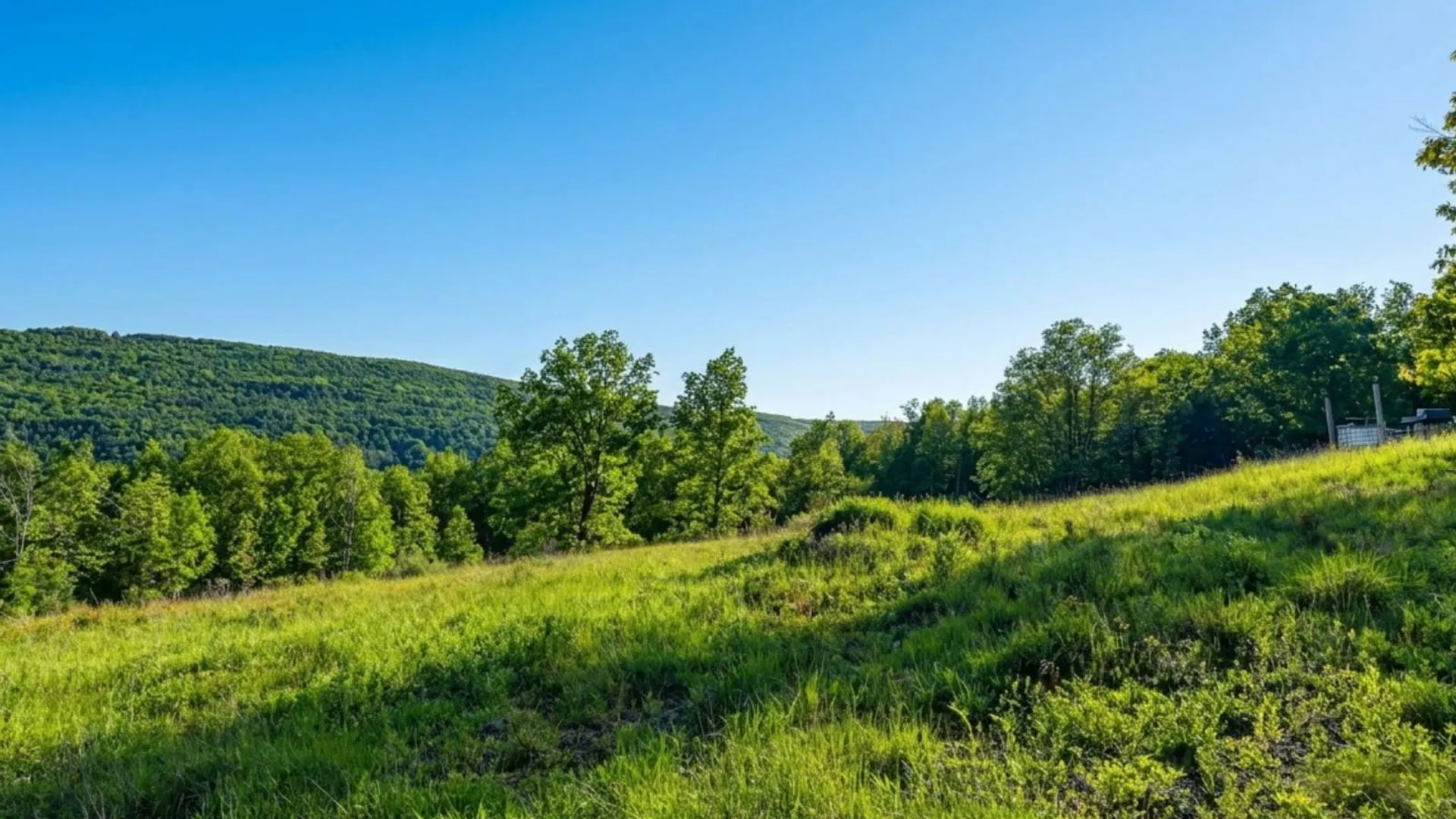 Property at L10.10 Cheese Hill Rd, Rensselaerville, NY 12469 47