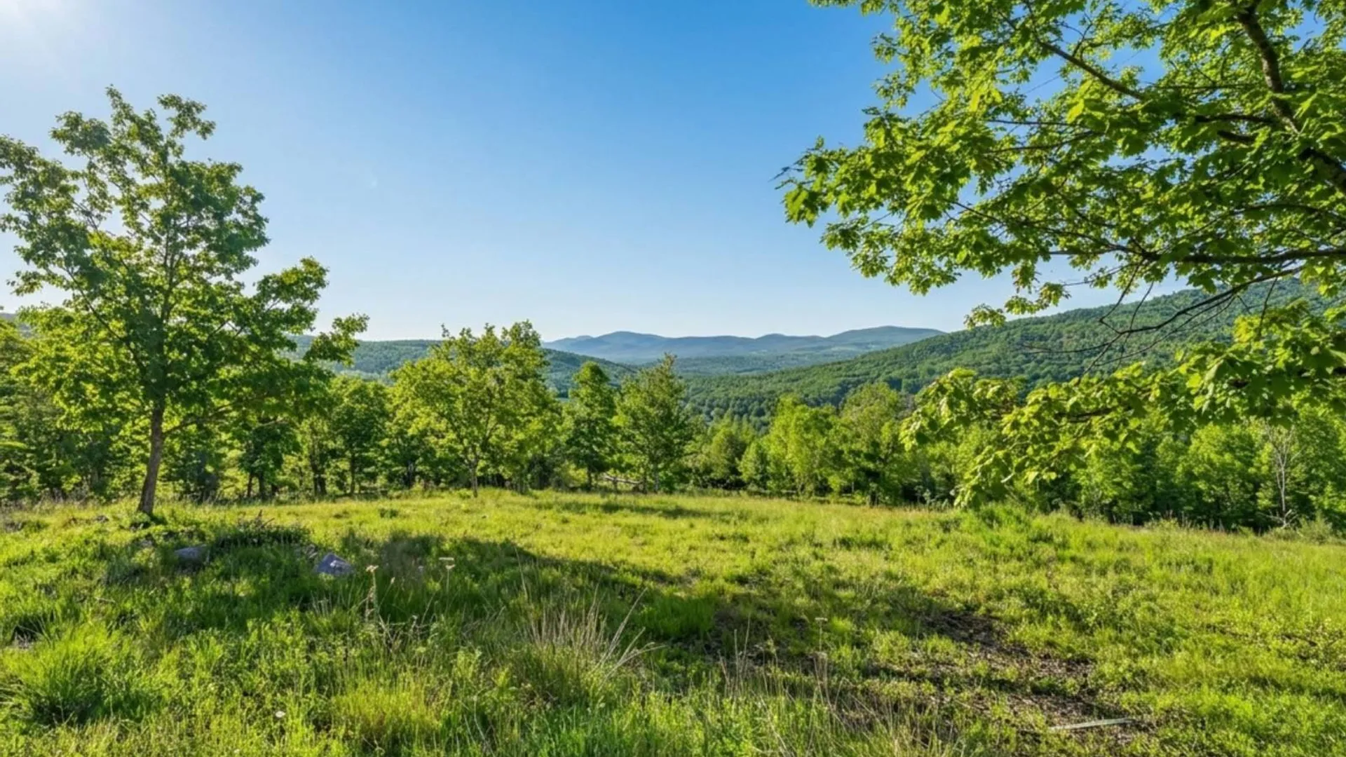 Property at L10.10 Cheese Hill Rd, Rensselaerville, NY 12469 49