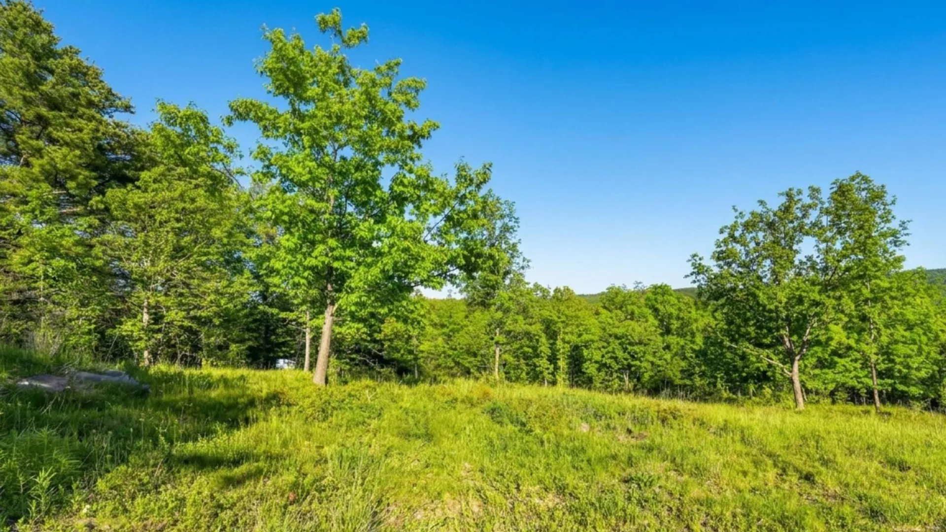 Property at L10.10 Cheese Hill Rd, Rensselaerville, NY 12469 50